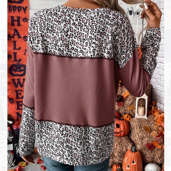 🆕NEW🛍️Animal Print Colorblock Top 🐾 - Picture 4 of 5
